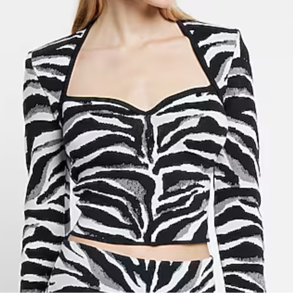 Express Zebra Print Long Sleeve Top